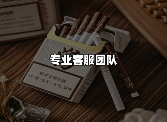 专业优势